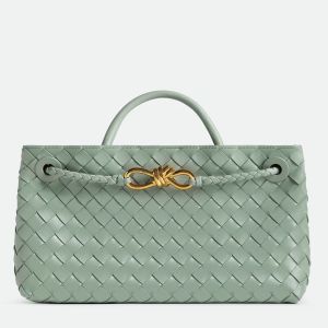 Bottega Veneta Andiamo East/West Small Bag in Sauge Intrecciato Lambskin